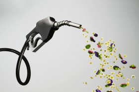 چرا فاز دوم هدفمندی یارانه ها در کنترل مصرف بنزین موفق نبود؟