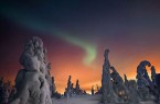 تصاویری از جنگل یخ زده در فنلاند معروف به زادگاه بابانوئل  <img src="/images/picture_icon.gif" alt="photo" title="photo" width="16" height="13" border="0" align="top">