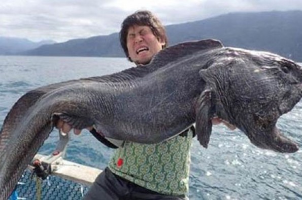 صید وحشتناک ماهی گیر ژاپنی + عکس