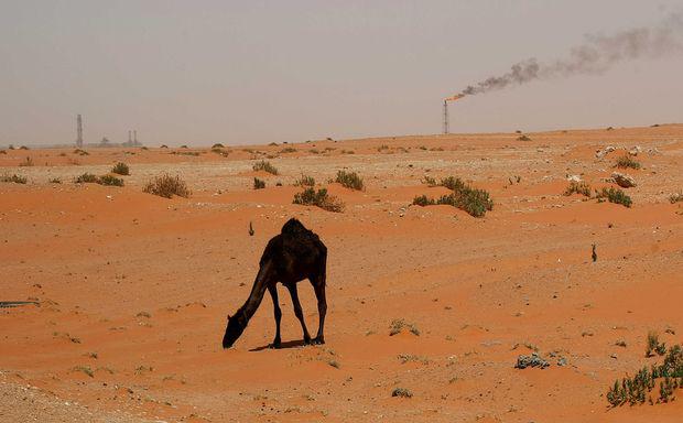 عربستان، آلوده کننده‌تر از ايران