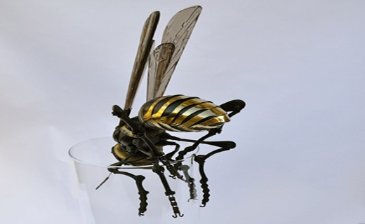 بی خطر ترین حشرات دنیا+تصاویر