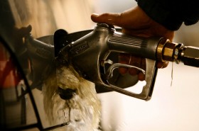 کیفیت پائین، مانع افزایش قیمت بنزین در بودجه ۹۴