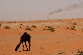 توليد نفت عربستان به بالاترين سطح در 13 سال گذشته رسيد