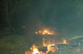 آتش سوزی در جنگل های الوار اندیمشک همچنان ادامه دارد