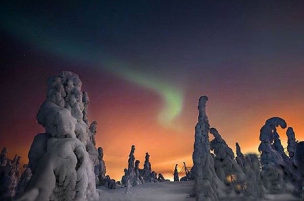 تصاویری از جنگل یخ زده در فنلاند معروف به زادگاه بابانوئل  <img src="/images/picture_icon.gif" width="16" height="13" border="0" align="top">