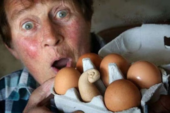 تخم مرغ عجیب و غریب +تصاویر