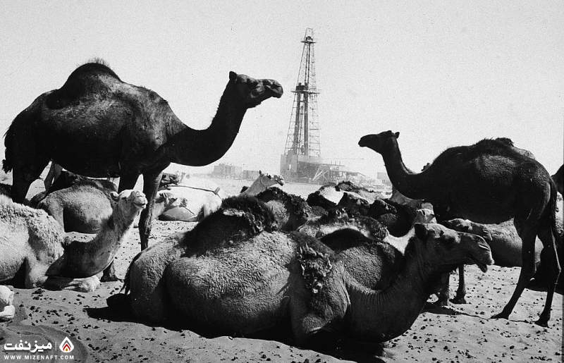 تاریخ نفت عربستان | میز نفت