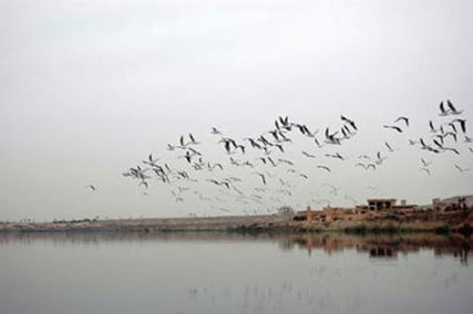 دریاچه ای با امکانات سواحل امارات درنزدیکی تهران